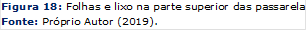 Figura 18: Folhas e lixo na parte superior das passarelas.
Fonte: Próprio Autor (2019).
