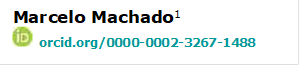 Marcelo Machado1 
  orcid.org/0000-0002-3267-1488 

