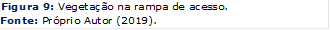 Figura 9: Vegetação na rampa de acesso.
Fonte: Próprio Autor (2019).
