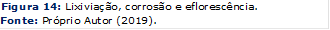 Figura 14: Lixiviação, corrosão e eflorescência.
Fonte: Próprio Autor (2019).
