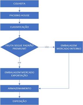 Diagrama

Descrição gerada automaticamente